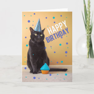 Happy Birthday Social Distancing Cat Party Humour Holiday Card