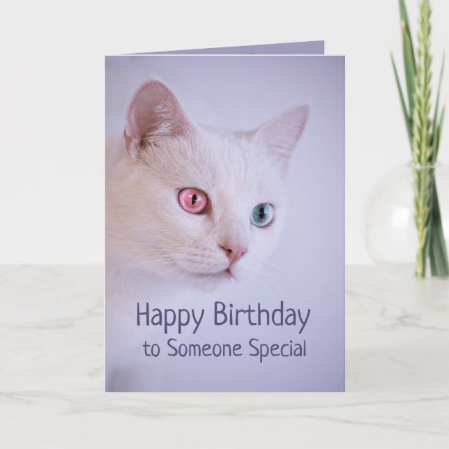 Happy Birthday Someone Special to Me Cat Card (Front)