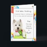 Happy Birthday Special Friend, Westie and Balloons Card<br><div class="desc">Isn't wonderful to have a best friend? Celebrate their Birthday by giving them a special card on their special day. On the front of card is a White West Highland Terrier laying on a green pillows along with yellow, red and blue party balloons surrounding the Westie on the white background....</div>