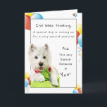 Happy Birthday Special Friend, Westie and Balloons Card<br><div class="desc">Isn't wonderful to have a best friend? Celebrate their Birthday by giving them a special card on their special day. On the front of card is a White West Highland Terrier laying on a green pillows along with yellow, red and blue party balloons surrounding the Westie on the white background....</div>