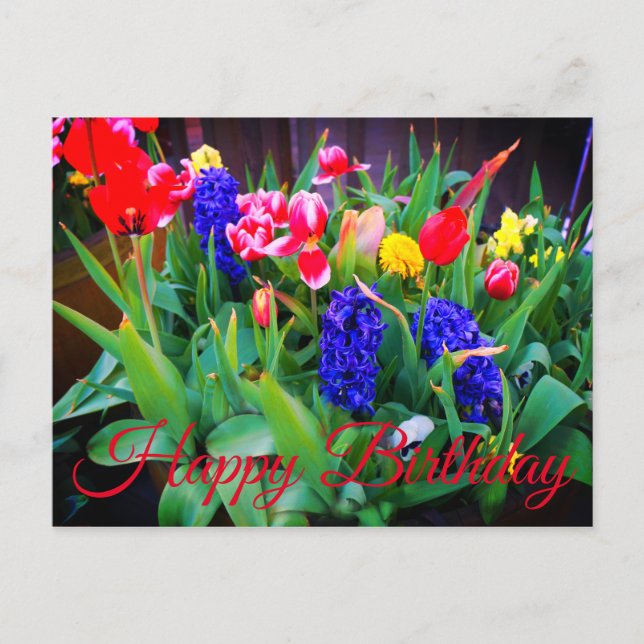 Happy Birthday Spring Flowers #3 Postcard (Front)