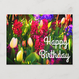 Happy Birthday Spring Flowers #5 Postcard
