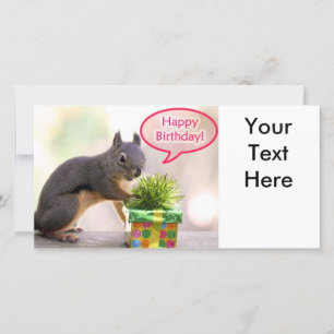 Happy Birthday Squirrel