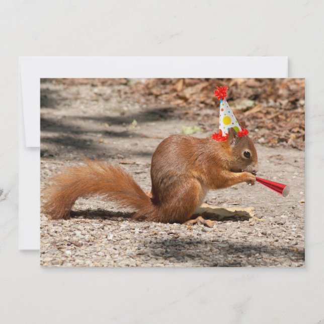 Happy Birthday Squirrel Invitation (Front)