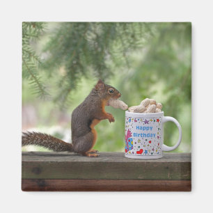 Happy Birthday Squirrel Magnet