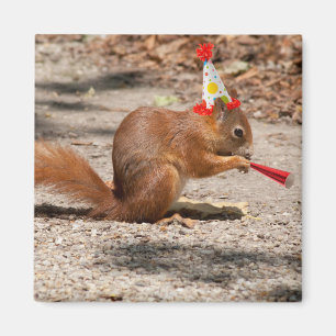 Happy Birthday Squirrel Magnet