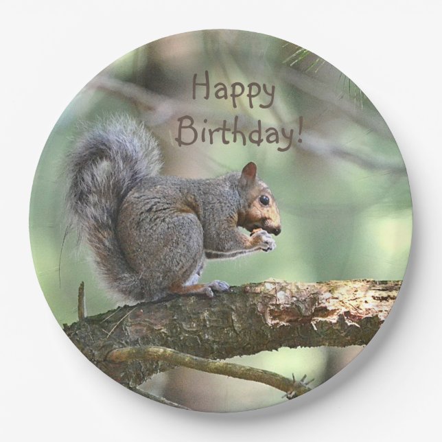 Happy Birthday Squirrel Paper Plate (Front)