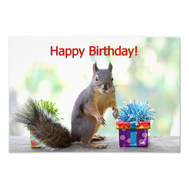 Happy Birthday Squirrel Photo Print (Front)