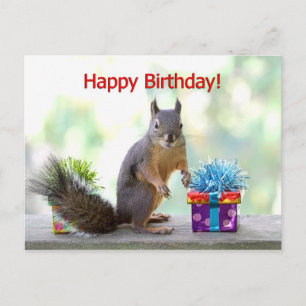 Happy Birthday Squirrel Postcard