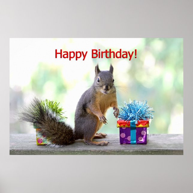 Happy Birthday Squirrel Poster (Front)