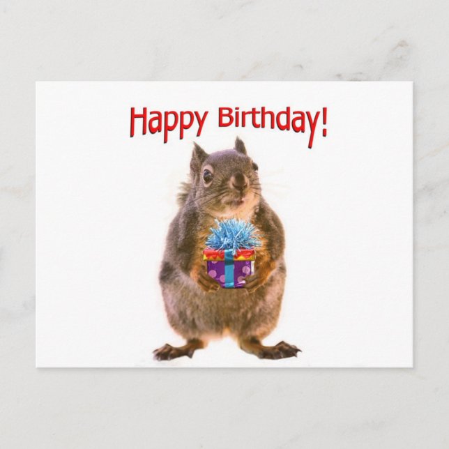 Happy Birthday Squirrel with Present Postcard (Front)