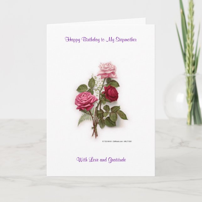 Happy Birthday Stepmother Card (Front)