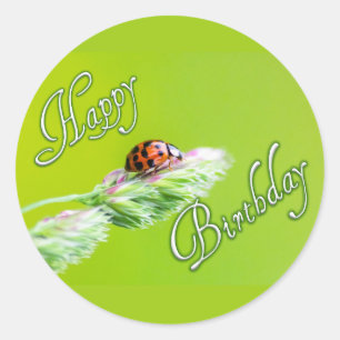 Happy Birthday stickers with a ladybug!