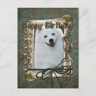 Happy Birthday - Stone Paws - American Eskimo Postcard