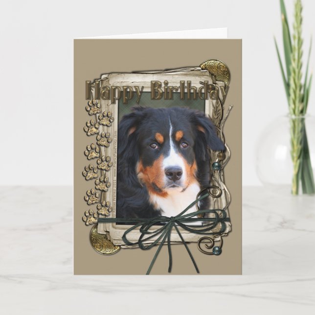 Happy Birthday - Stone Paws - Bernese Mountain Dog Card (Front)