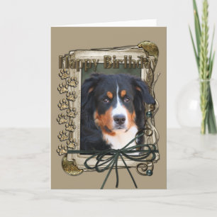 Happy Birthday - Stone Paws - Bernese Mountain Dog Card