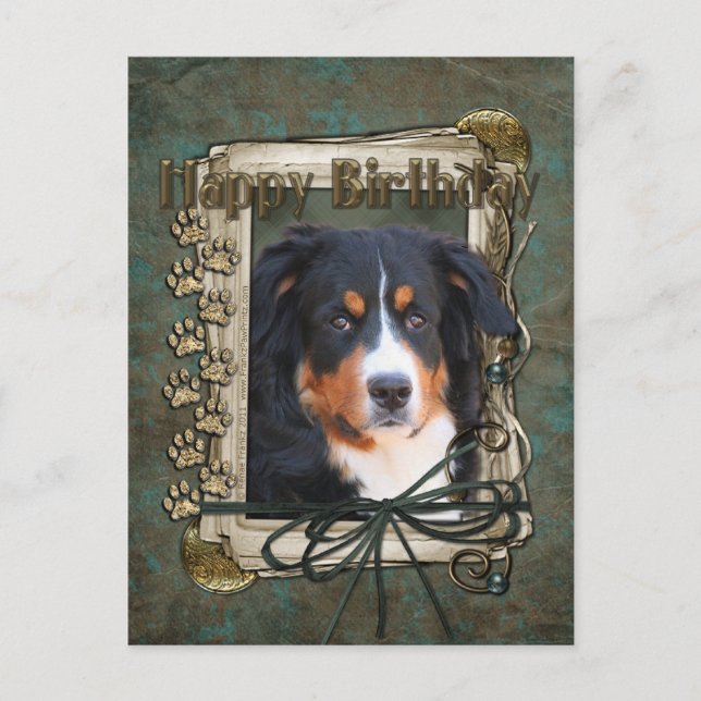 Happy Birthday - Stone Paws - Bernese Mountain Dog Postcard (Front)