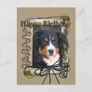 Happy Birthday - Stone Paws - Bernese Mountain Dog Postcard