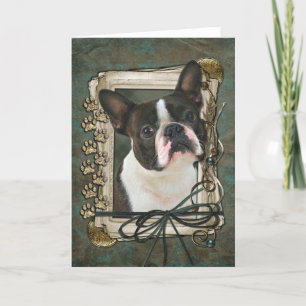 Happy Birthday - Stone Paws - Boston Terrier Card