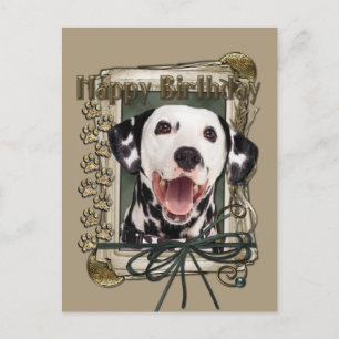 Happy Birthday - Stone Paws - Dalmatian Postcard