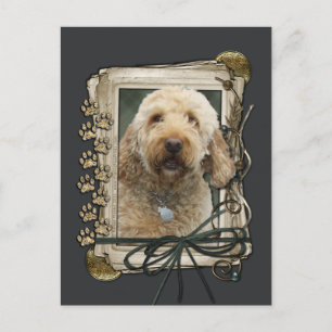 Happy Birthday - Stone Paws - GoldenDoodle Postcard