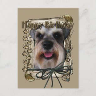 Happy Birthday - Stone Paws - Schnauzer Postcard