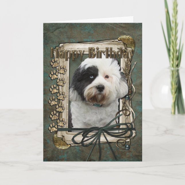Happy Birthday - Stone Paws - Tibetan Terrier Card (Front)