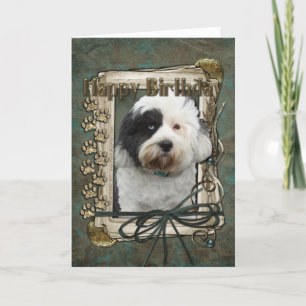 Happy Birthday - Stone Paws - Tibetan Terrier Card