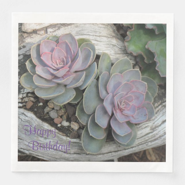 Happy Birthday Succulent Napkin (Front)