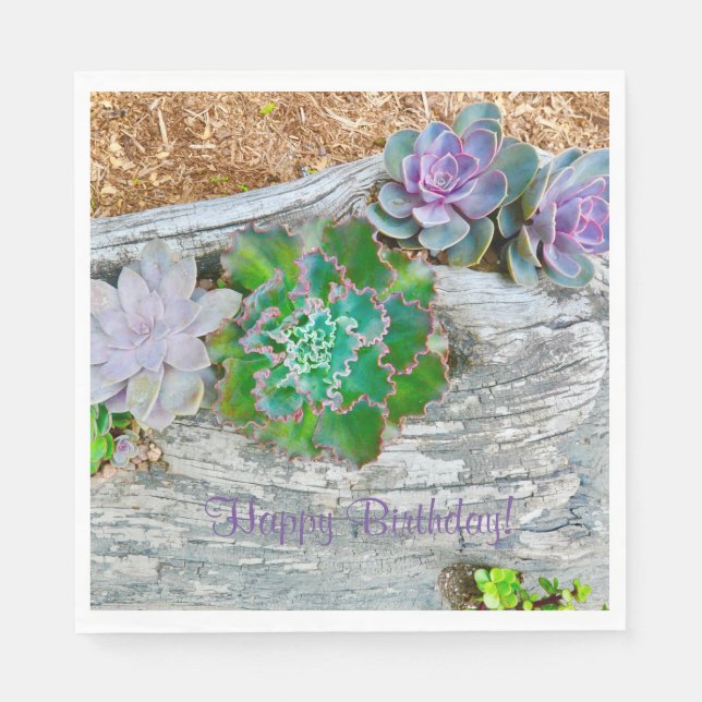 Happy Birthday Succulents On Driftwood Napkin (Front)