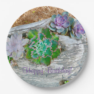 Happy Birthday Succulents On Driftwood Paper Plate