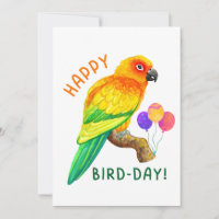Happy Birthday Sun Conure Parrot Bird Lover