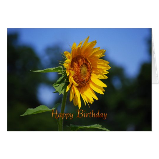 Happy Birthday Sunflower Card