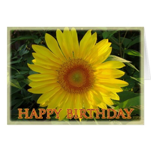 Happy Birthday Sunflower Greeting Card | Zazzle