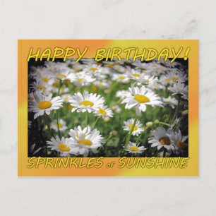 Happy Birthday Sunshine Postcard