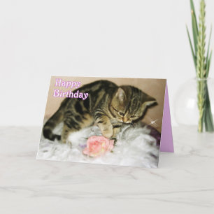 Happy Birthday - Tabby Kitten Birthday card