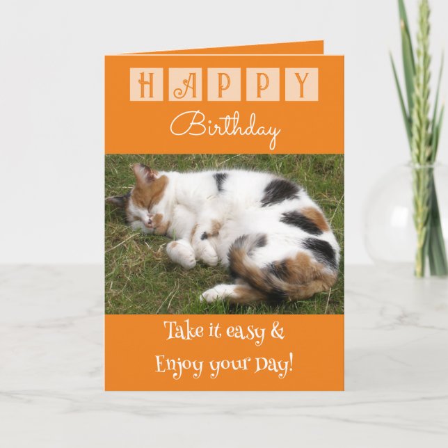 Happy Birthday take it easy cat photo orange Card (Front)