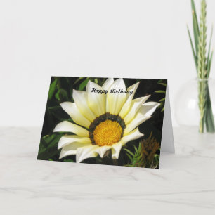 Happy Birthday Thank You Card