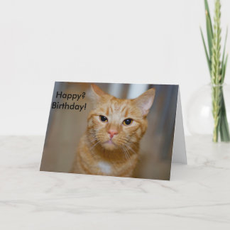 Happy? Birthday! (This Cat looks grumpy) Card