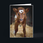 "HAPPY BIRTHDAY" TO my **BROTHER** Card<br><div class="desc">THANKS YOU FOR STOPPING BY ONE OF MY EIGHT STORES!</div>