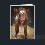 "HAPPY BIRTHDAY" TO my **BROTHER** Card<br><div class="desc">THANKS YOU FOR STOPPING BY ONE OF MY EIGHT STORES!</div>