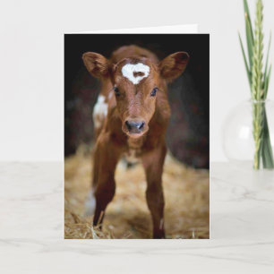 "HAPPY BIRTHDAY" TO my **BROTHER** Card