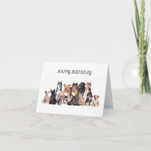 **HAPPY BIRTHDAY TO MY FAVORITE VETERINARIAN** CARD