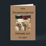 HAPPY *BIRTHDAY* TO MY *GRANDDAUGHTER* CARD<br><div class="desc">TO THE **BEST GRANDDAUGHTER EVER*** HAPPY BIRTHDAY AND I AM SO HAPPY YOU ARE "MY BROTHER"!!!! THANK YOU FOR STOPPING BY ONE OF MY EIGHT STORES!!!</div>