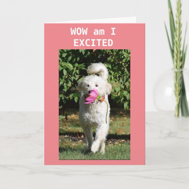 HAPPY BIRTHDAY TO MY *GRANDDAUGHTER* CARD (Front)