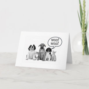 HAPPY BIRTHDAY TO OUR FAVORITE **VETERINARIAN** CARD