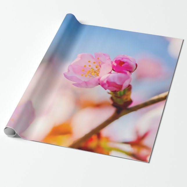 Happy Birthday To Sakura Cherry Blossoms Wrapping Paper (Unrolled)