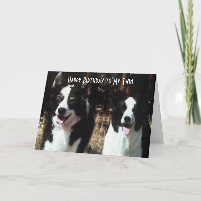 HAPPY BIRTHDAY TO THE FUN TWIN CARD (Front)