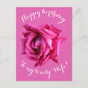 Happy Birthday to wife hot pink rose floral love Postcard