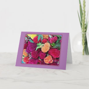 Happy Birthday to You! Card